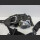 Mercedes C W204 Sicherheitsgurt Gurt Gurtstraffer vorn rechts A 2048602485 (179