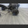 Mercedes ML W164 Vorderachsdifferential Achsgetriebe vorne 3,09 1643302002 (180