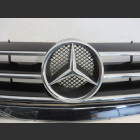 Mercedes A Klasse W169 Frontgrill Kühlergrill Grill A1698801483 (194