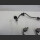 Mercedes C W204 S204 OM651 Druckleitung Kraftstoff Rail A6510702633 A6510702433 A6510702533 (202