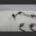 Mercedes C W204 S204 OM651 Druckleitung Kraftstoff Rail A6510702633 A6510702433 A6510702533 (202