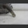 Mercedes C W203 S203 C30 AMG Unterdruckpumpe Vakuumpumpe A6112300065 (204