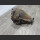 Mercedes W203 C 220 CDI Differential Hinterachsmittelstück 1:2,65A 2033505314 (110
